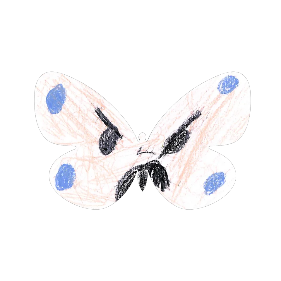 Original Butterfly Image