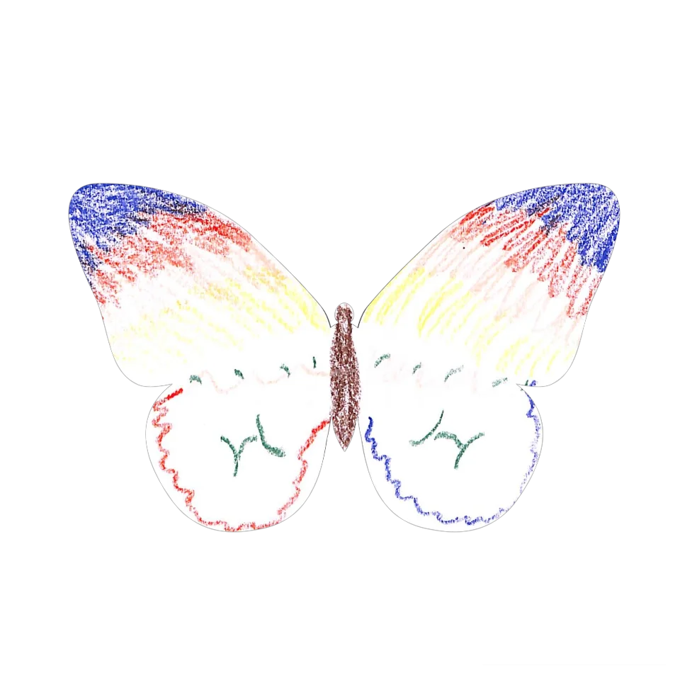 Original Butterfly Image