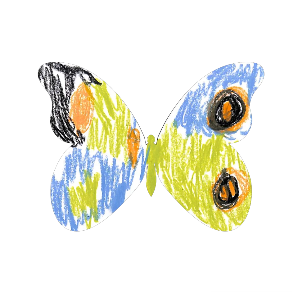 Original Butterfly Image