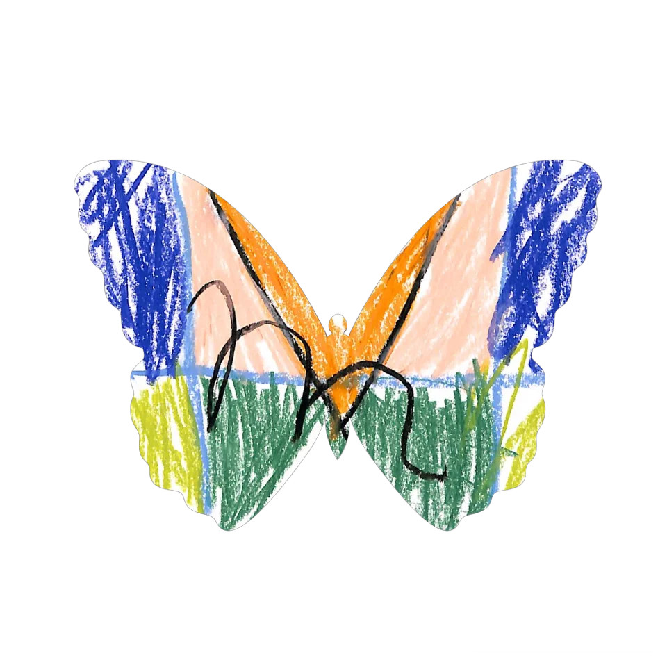 Original Butterfly Image