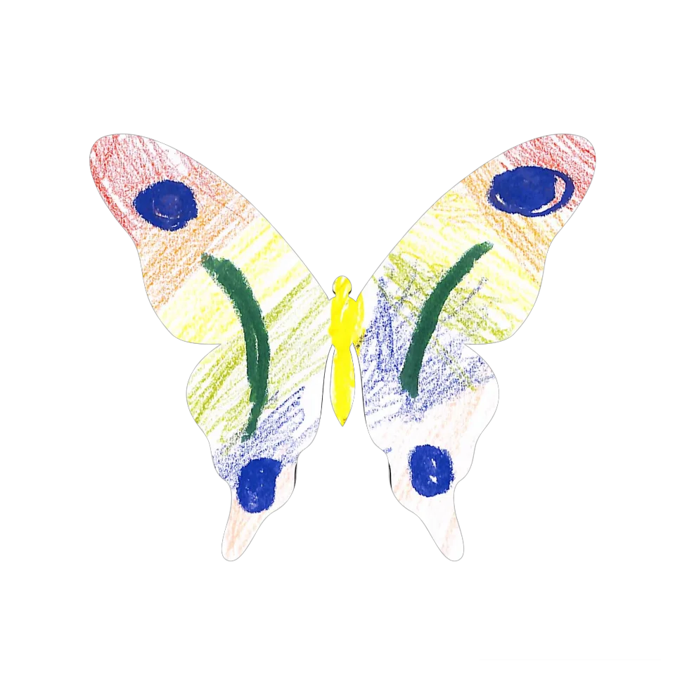 Original Butterfly Image