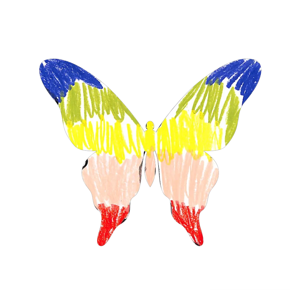 Original Butterfly Image
