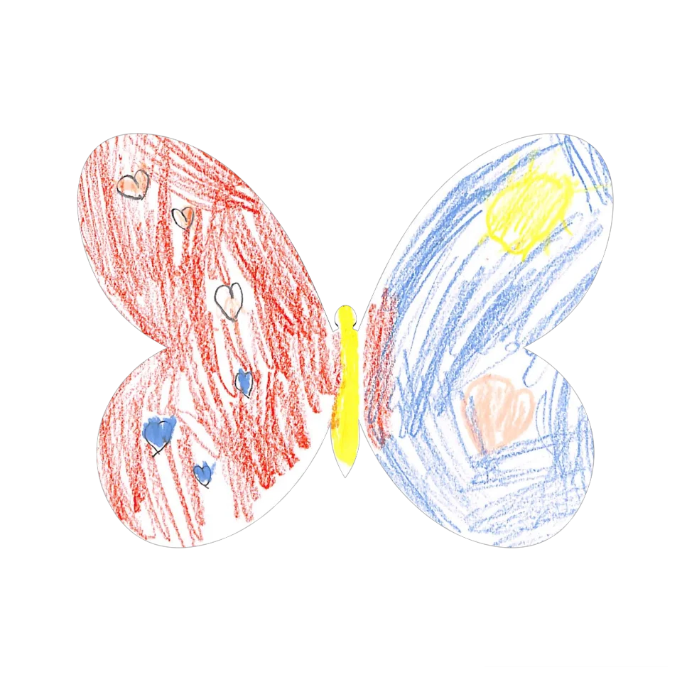 Original Butterfly Image