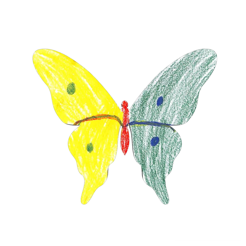 Original Butterfly Image
