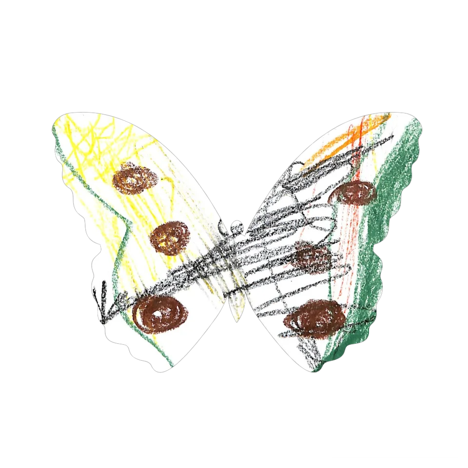 Original Butterfly Image