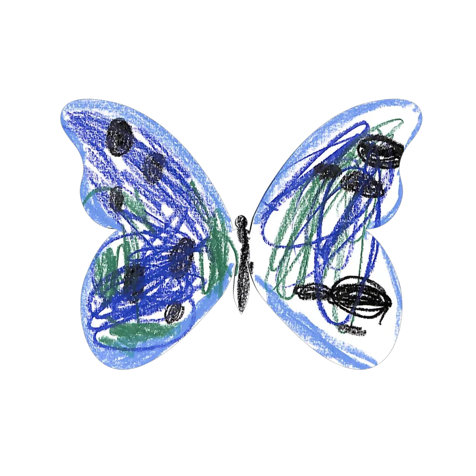 Original Butterfly Image