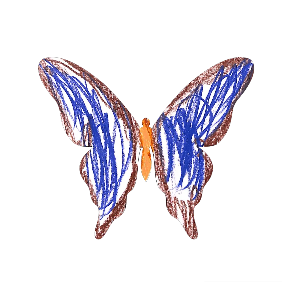 Original Butterfly Image