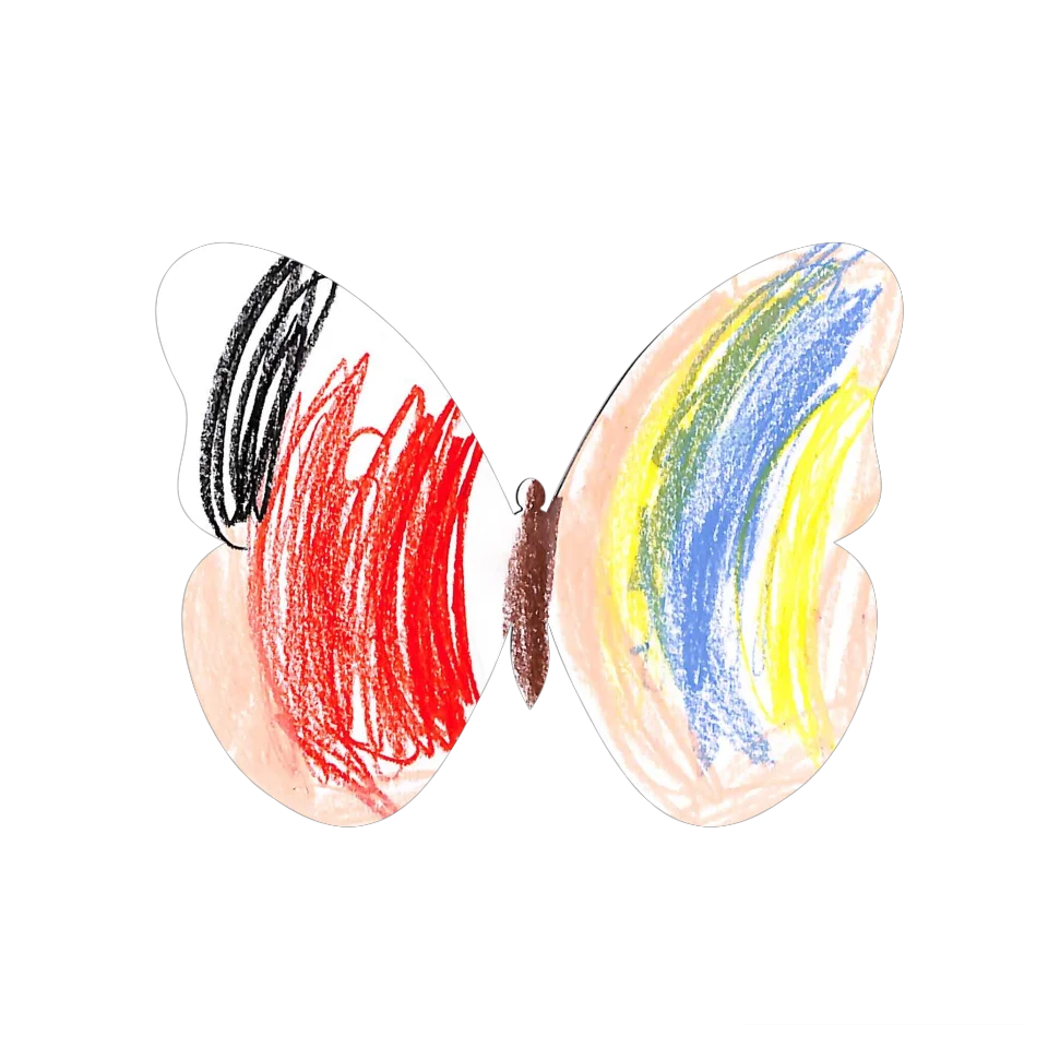 Original Butterfly Image