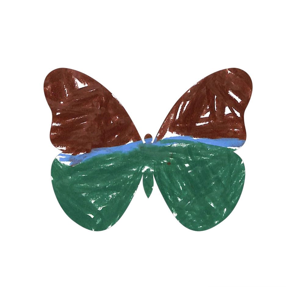 Original Butterfly Image