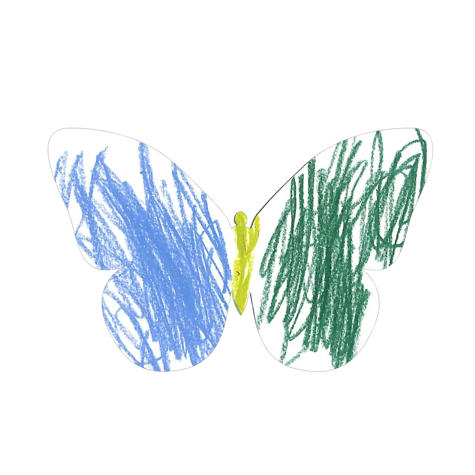 Original Butterfly Image