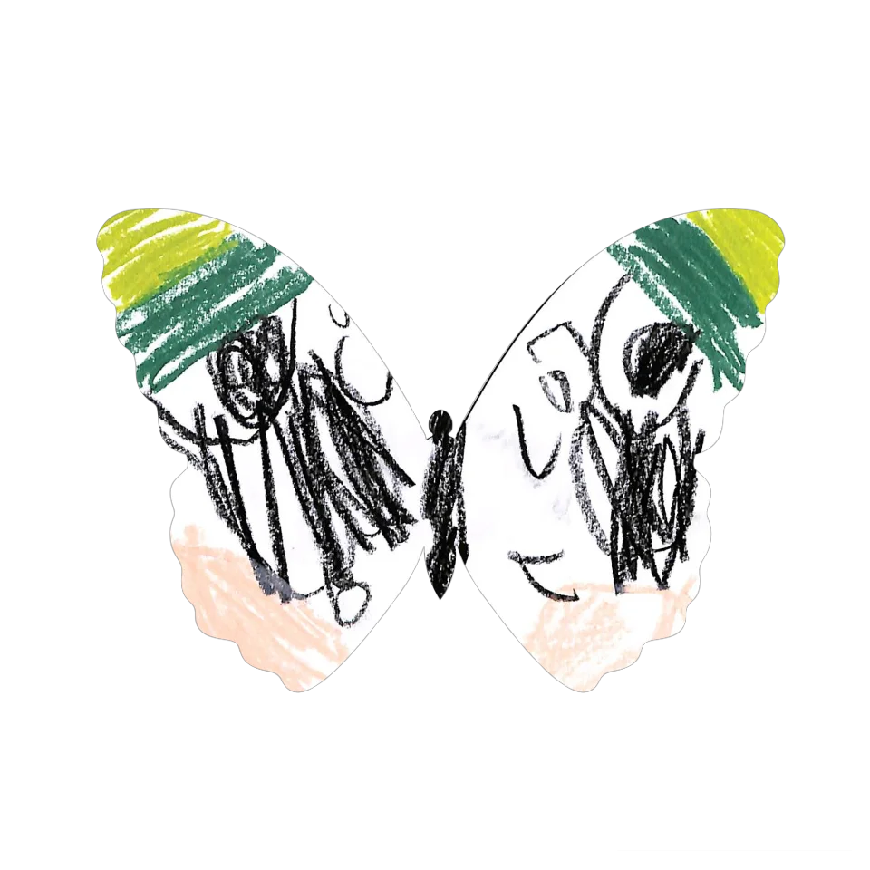 Original Butterfly Image