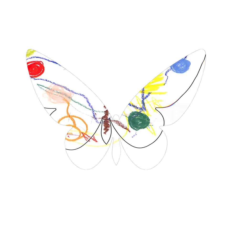 Original Butterfly Image