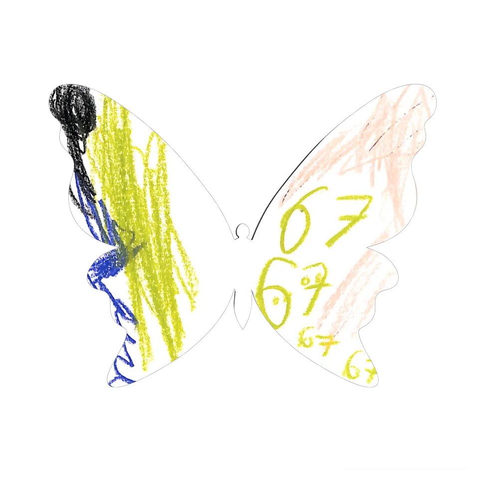 Original Butterfly Image