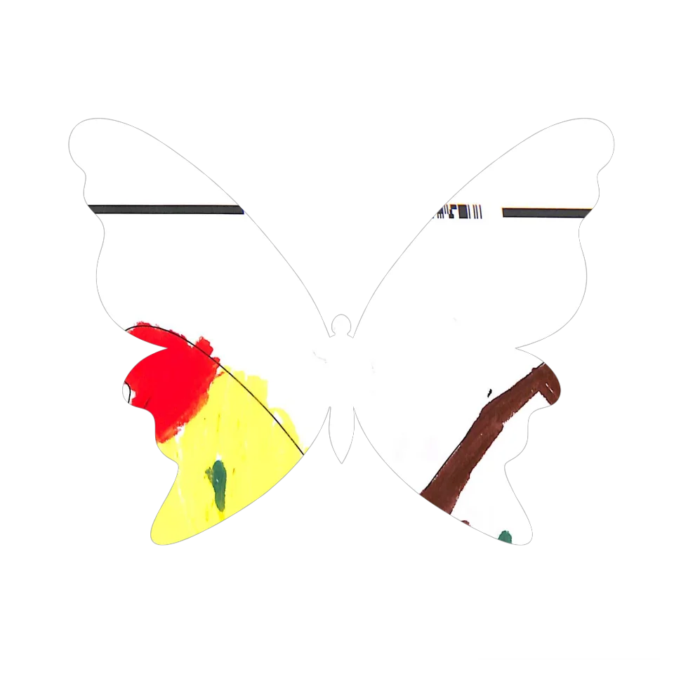 Original Butterfly Image