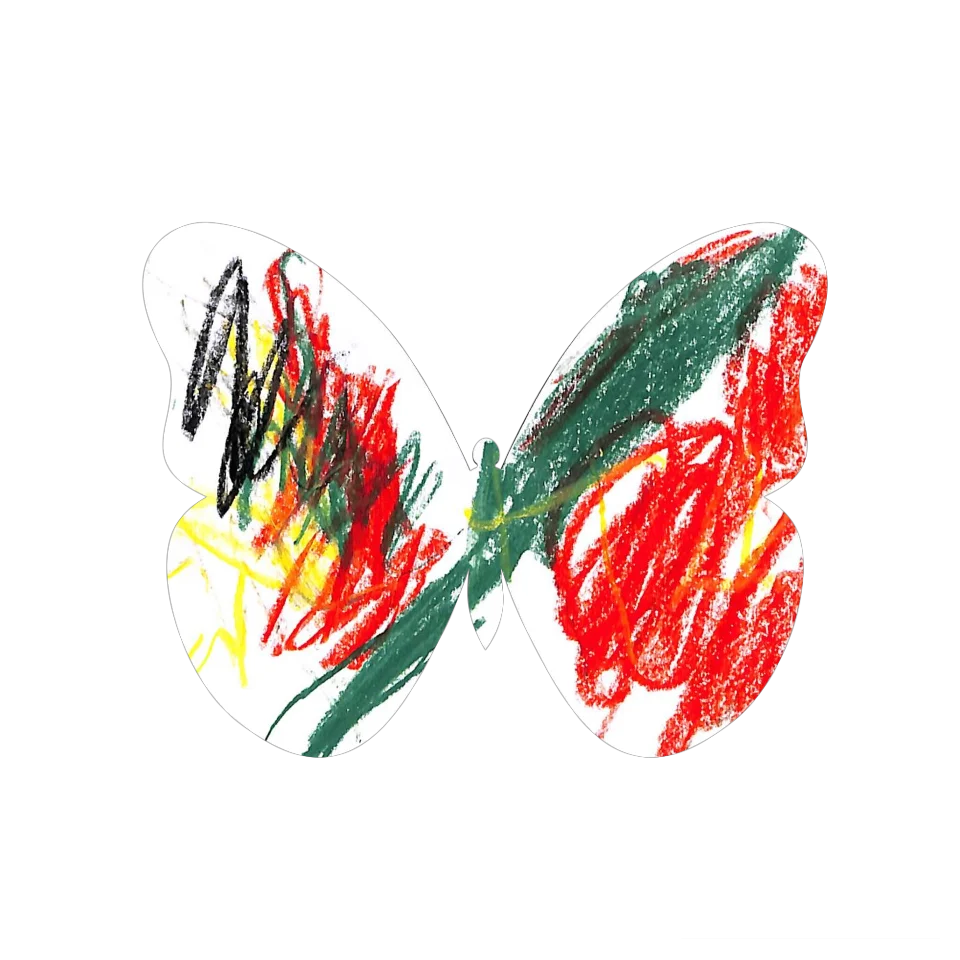 Original Butterfly Image