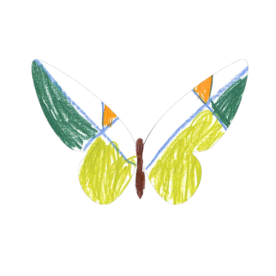 Original Butterfly Image