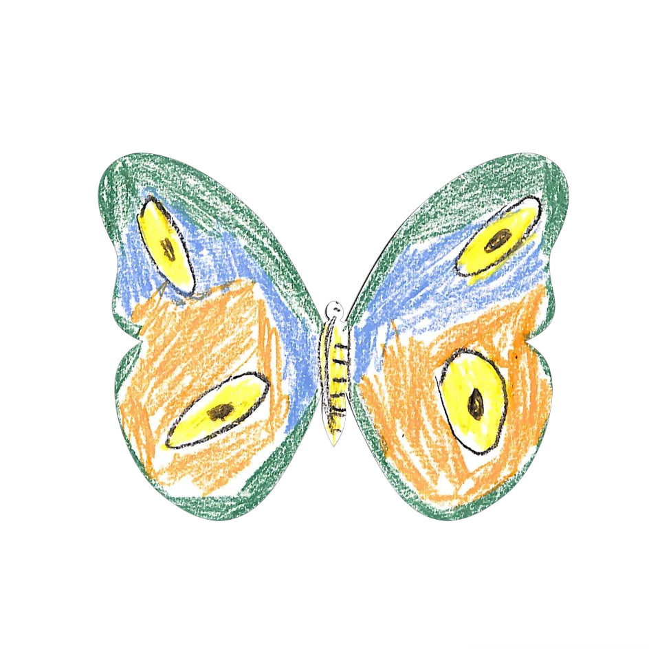 Original Butterfly Image