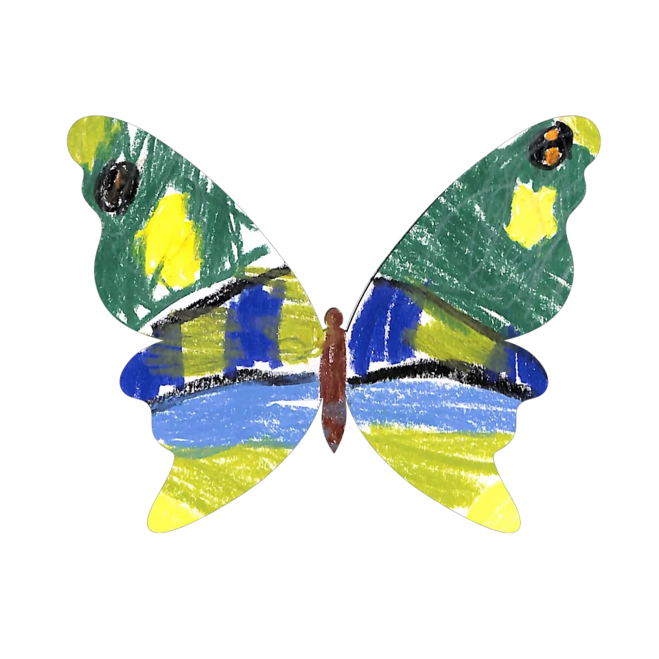 Original Butterfly Image