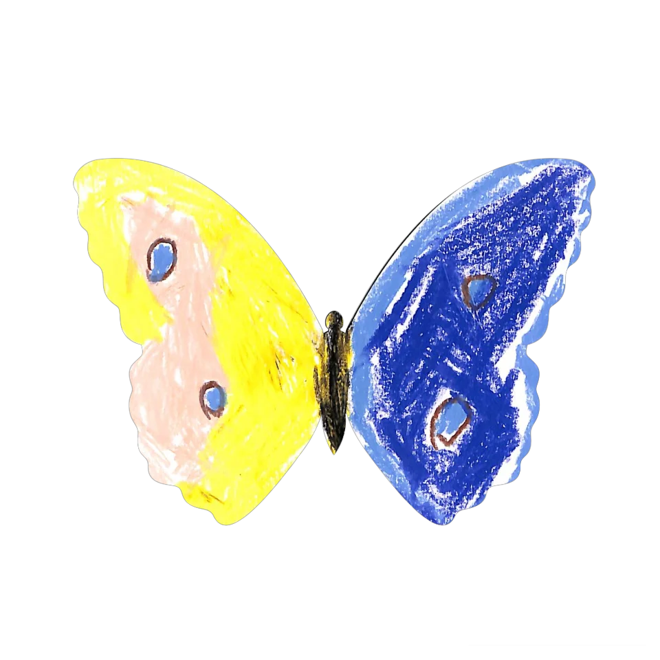 Original Butterfly Image