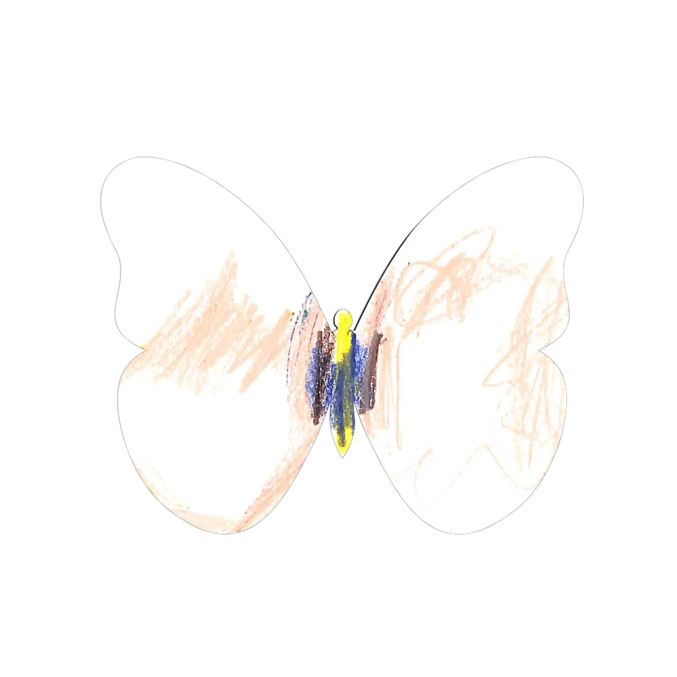 Original Butterfly Image