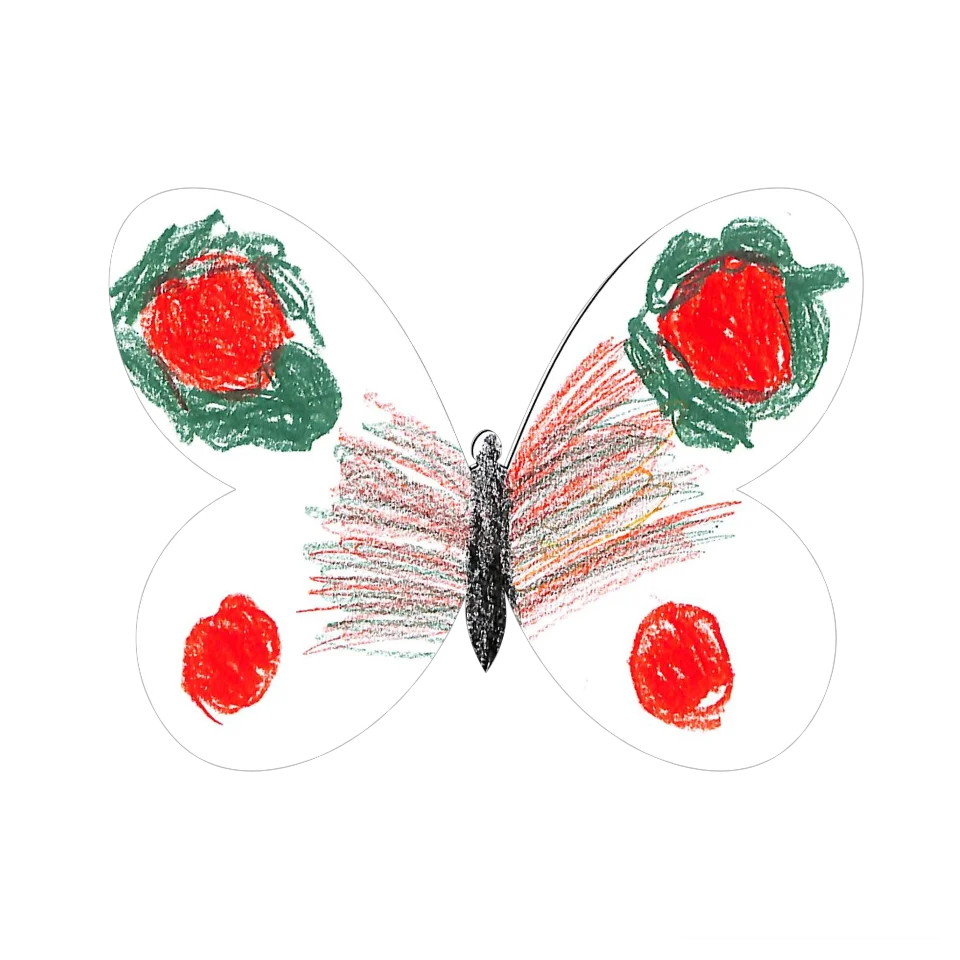 Original Butterfly Image