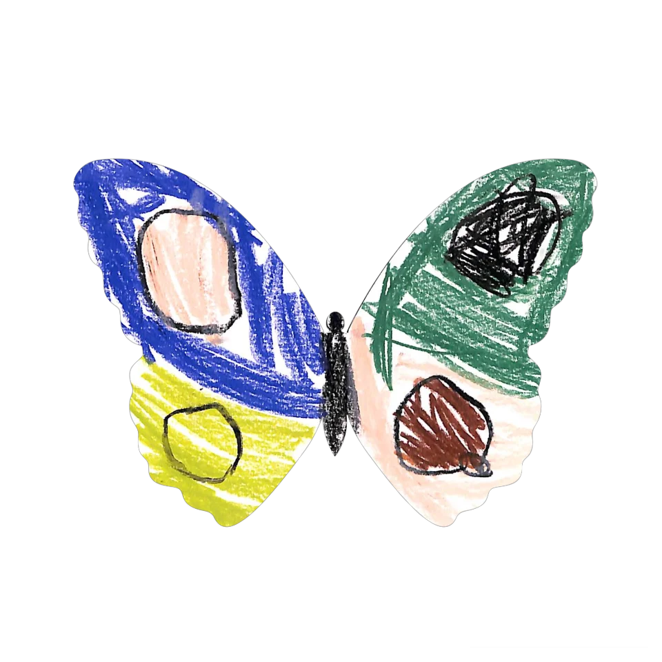 Original Butterfly Image