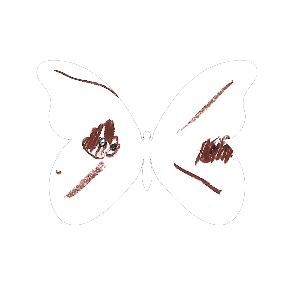 Original Butterfly Image