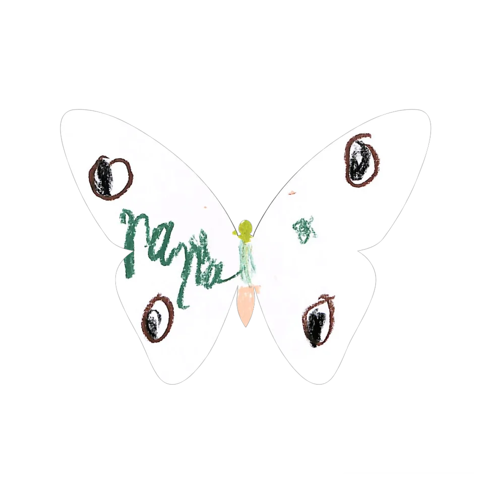 Original Butterfly Image