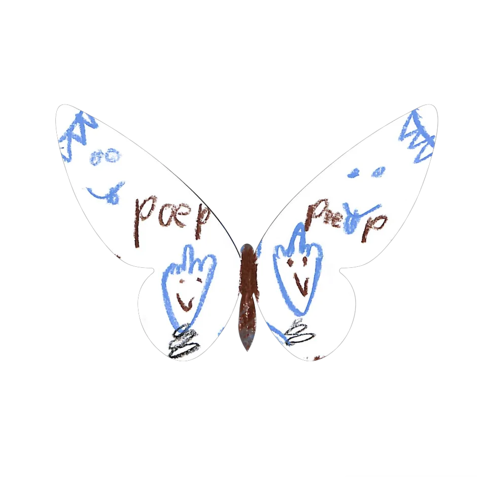 Original Butterfly Image