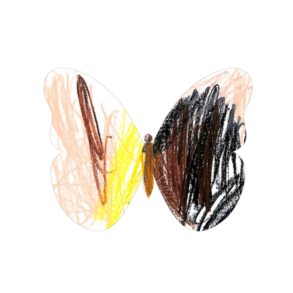 Original Butterfly Image