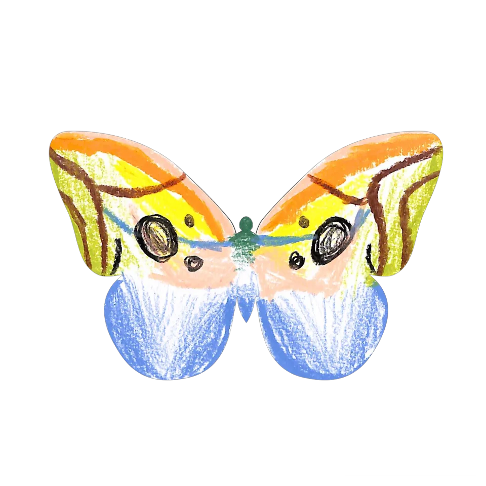 Original Butterfly Image