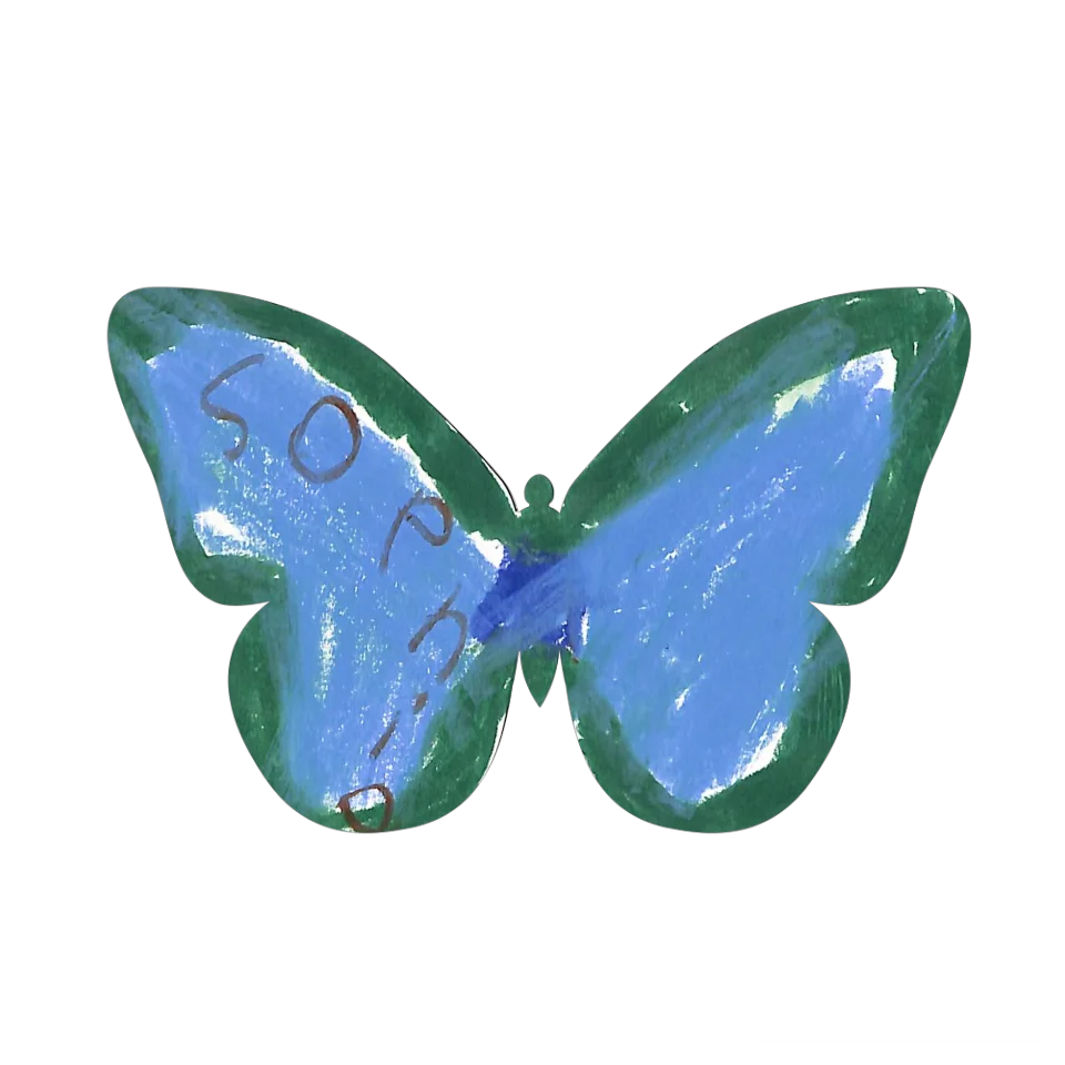 Original Butterfly Image