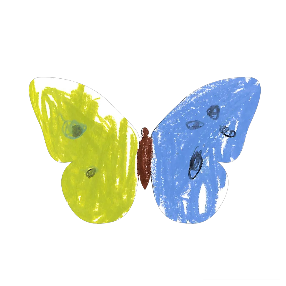 Original Butterfly Image