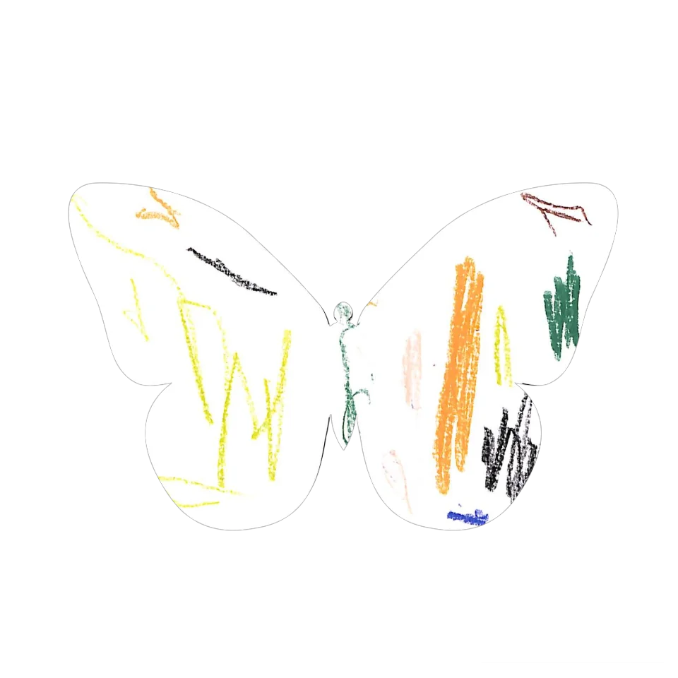 Original Butterfly Image