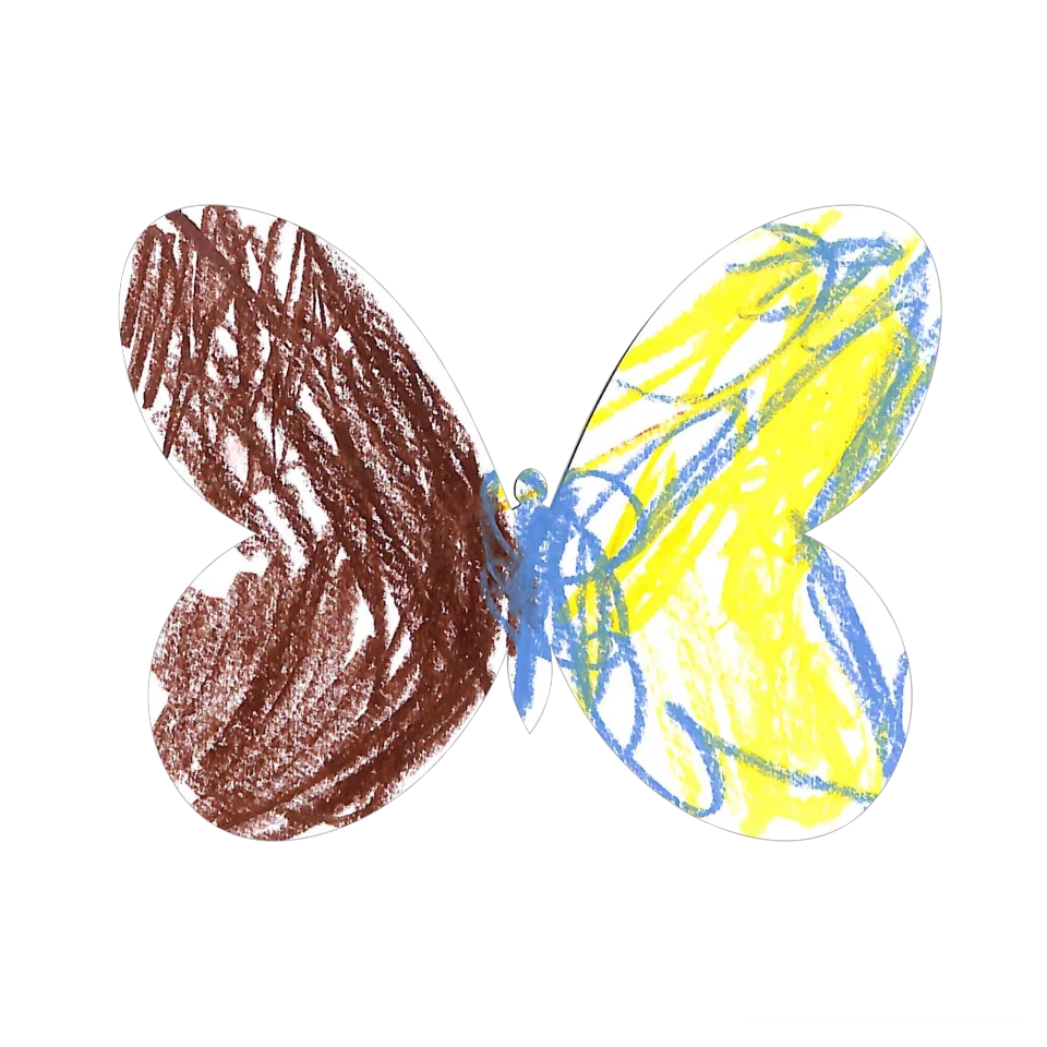 Original Butterfly Image