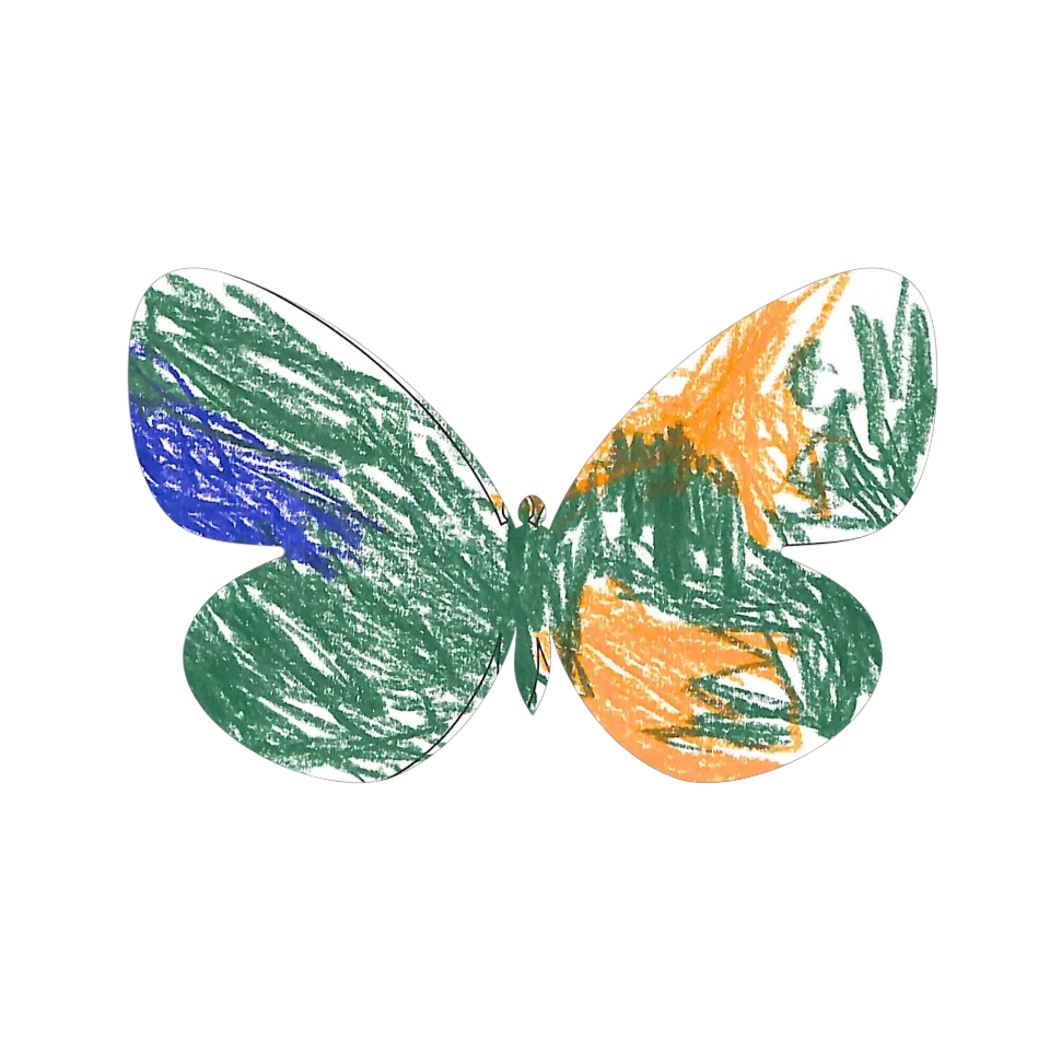 Original Butterfly Image