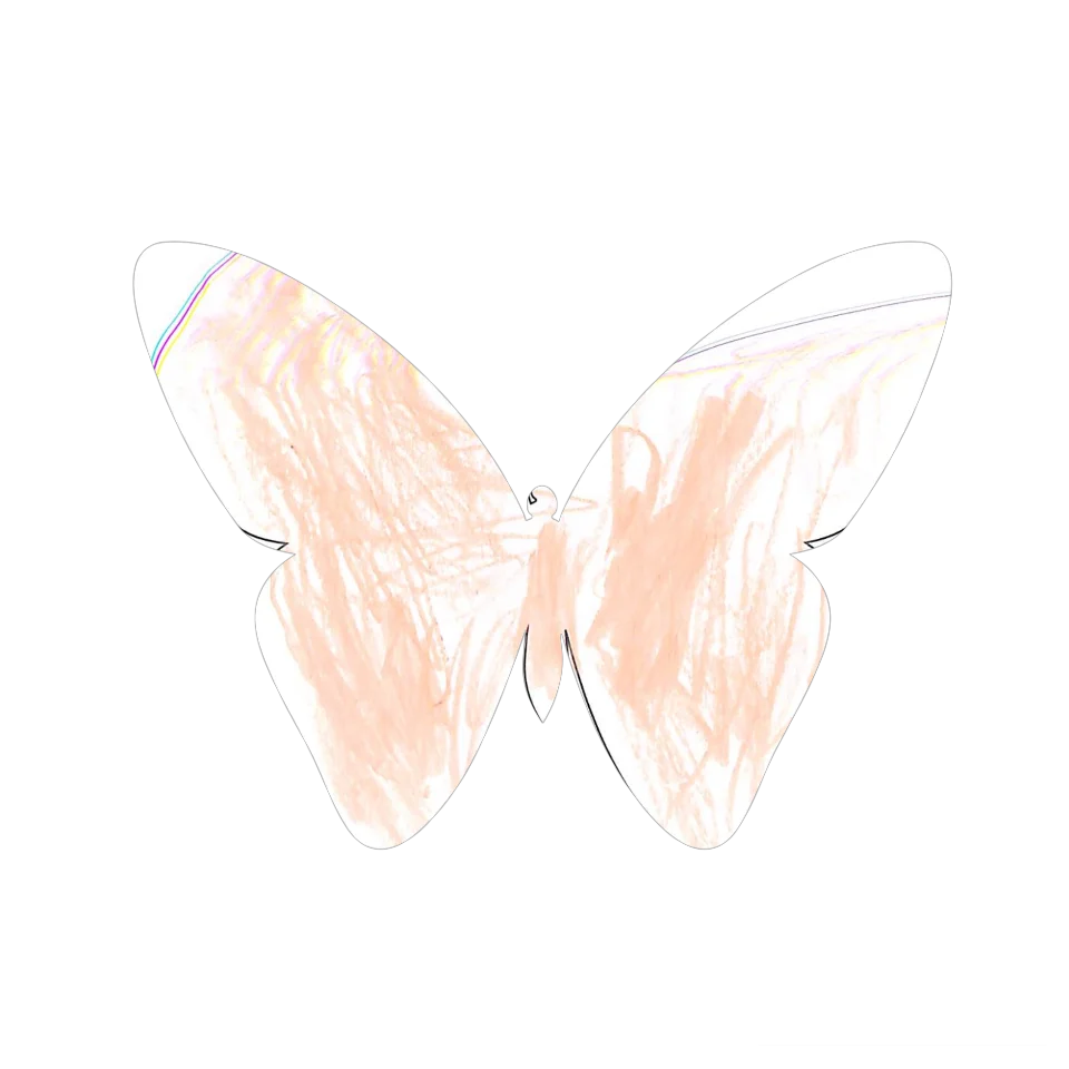 Original Butterfly Image
