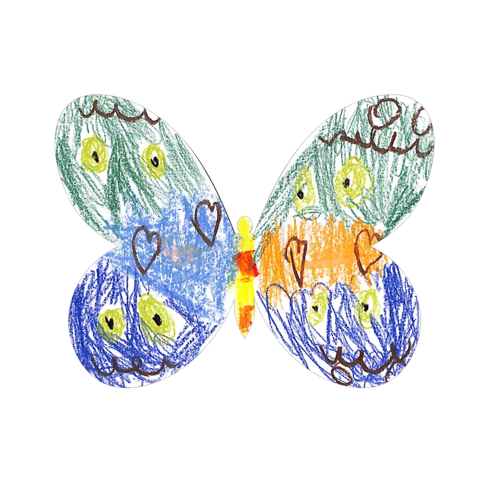 Original Butterfly Image