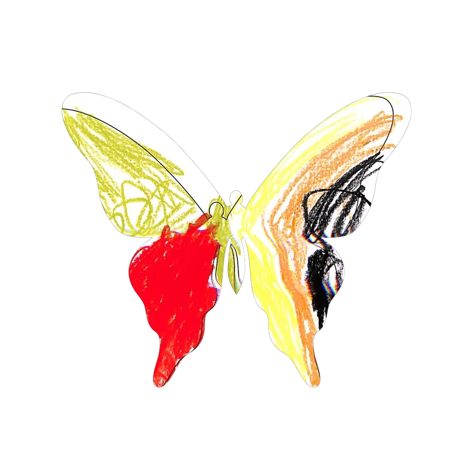 Original Butterfly Image