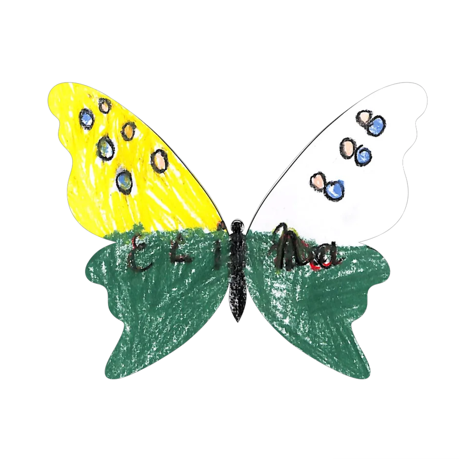 Original Butterfly Image