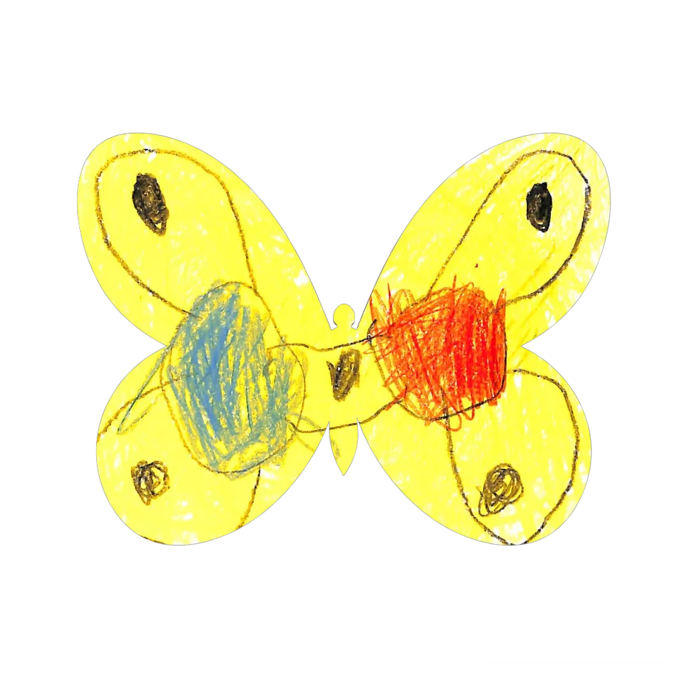 Original Butterfly Image