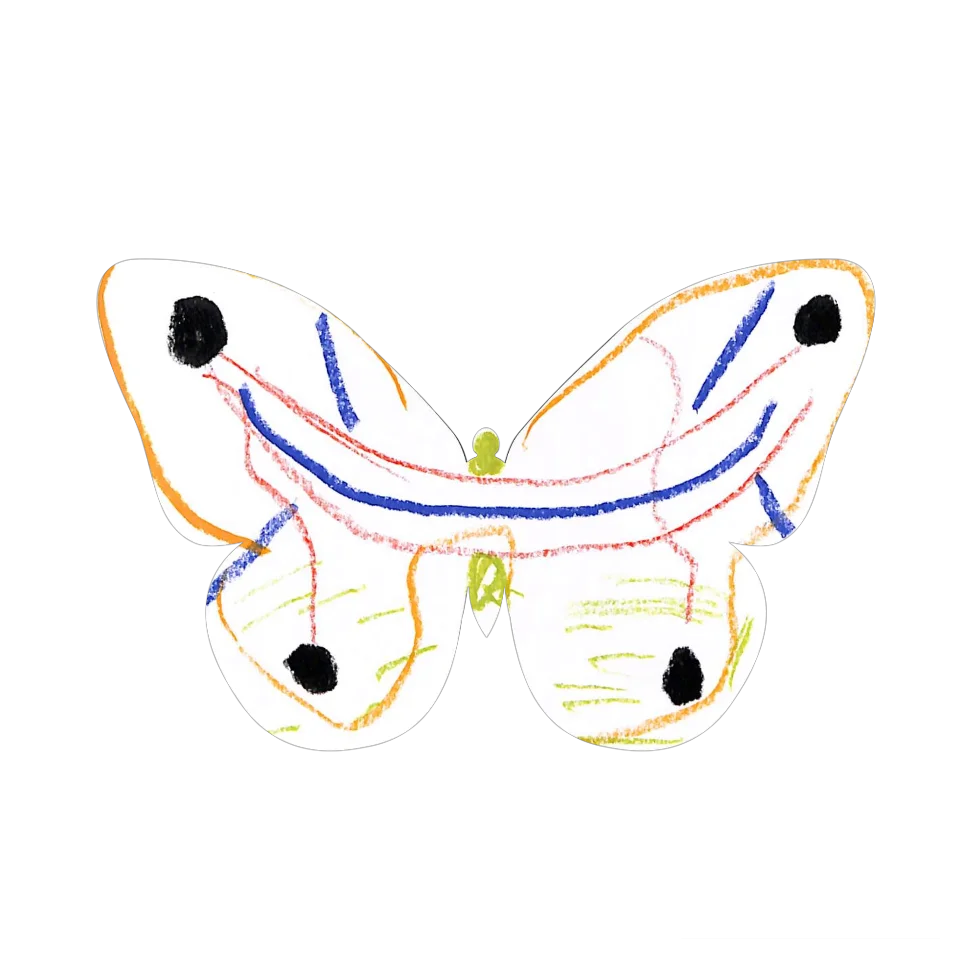 Original Butterfly Image