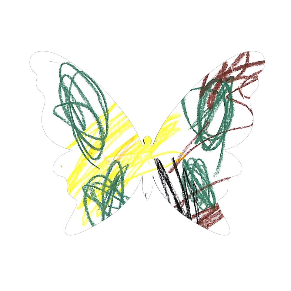 Original Butterfly Image