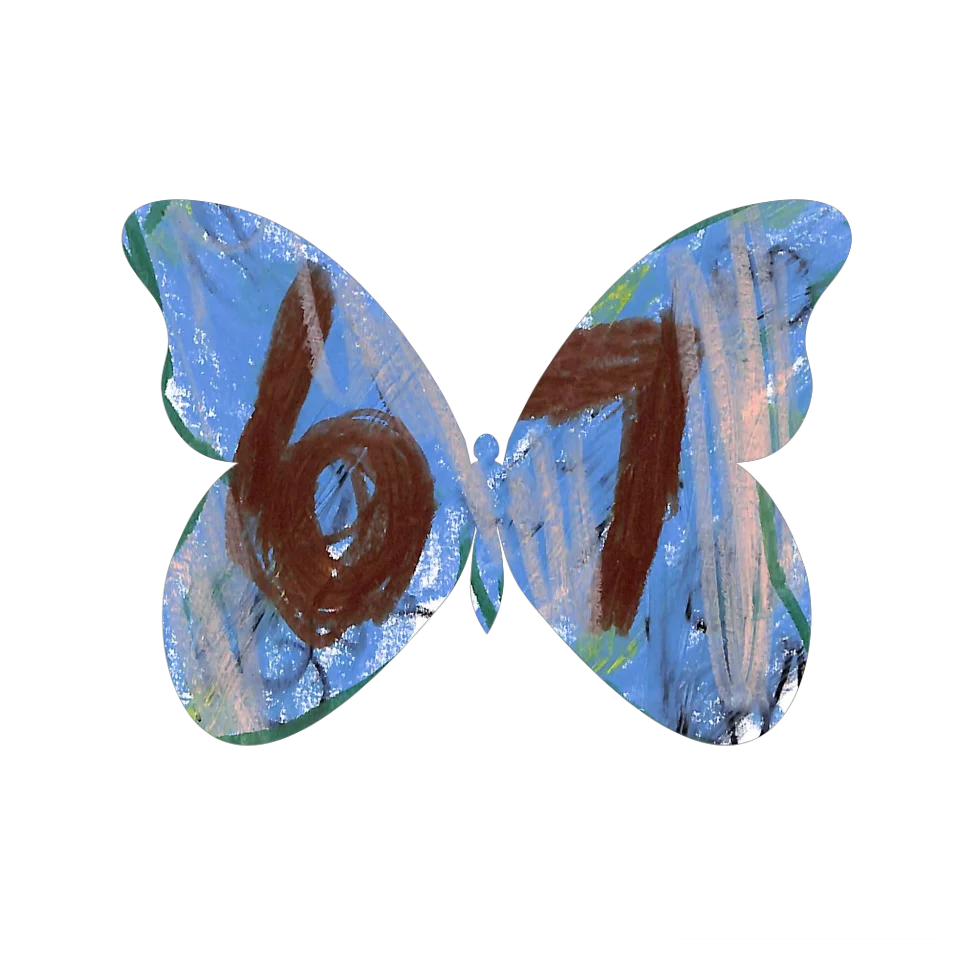 Original Butterfly Image