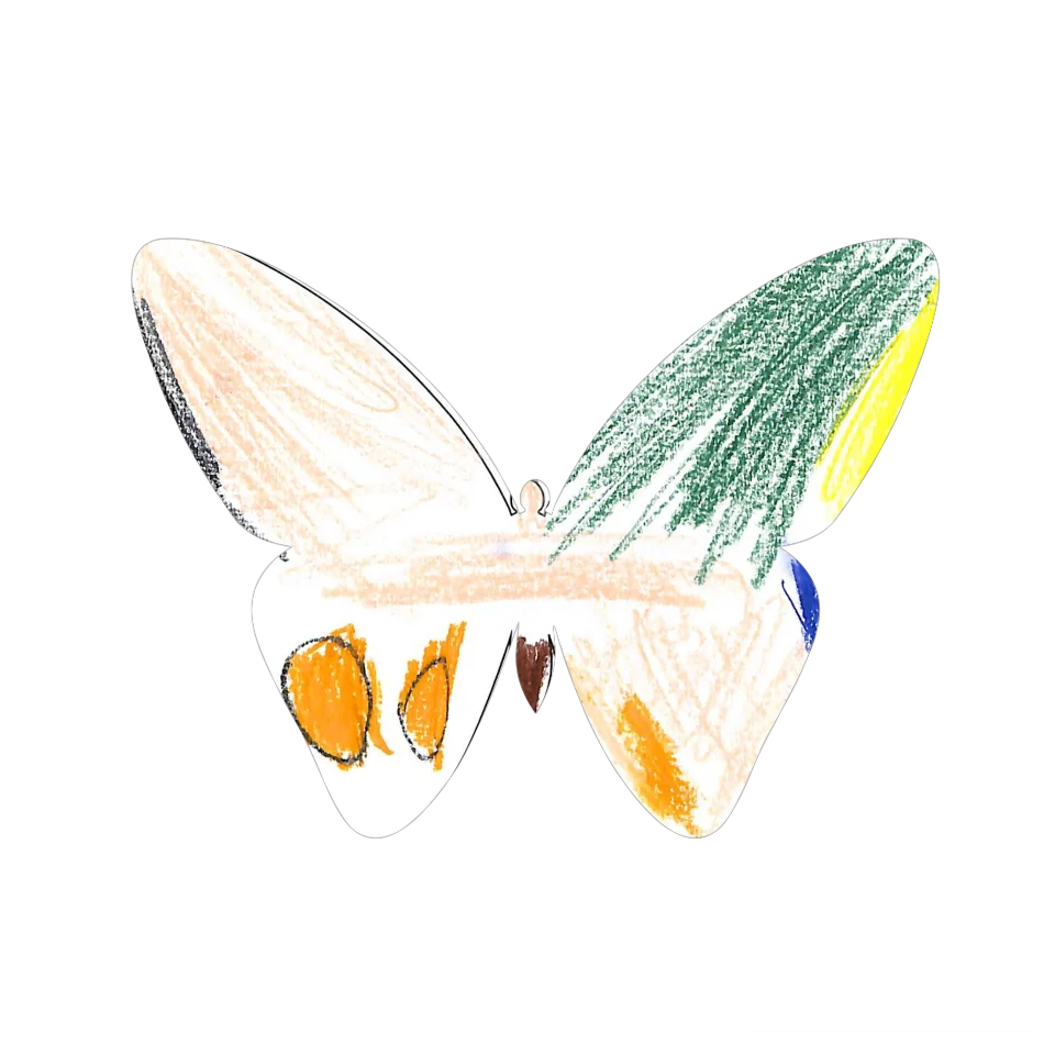 Original Butterfly Image