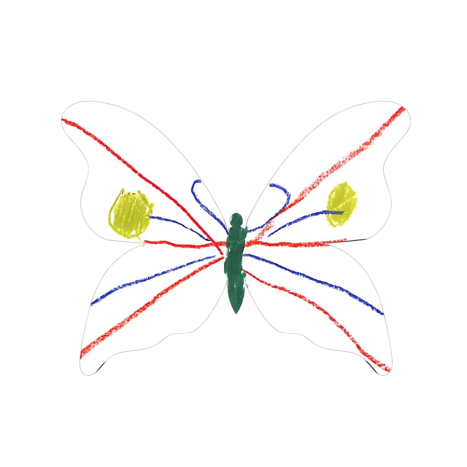 Original Butterfly Image