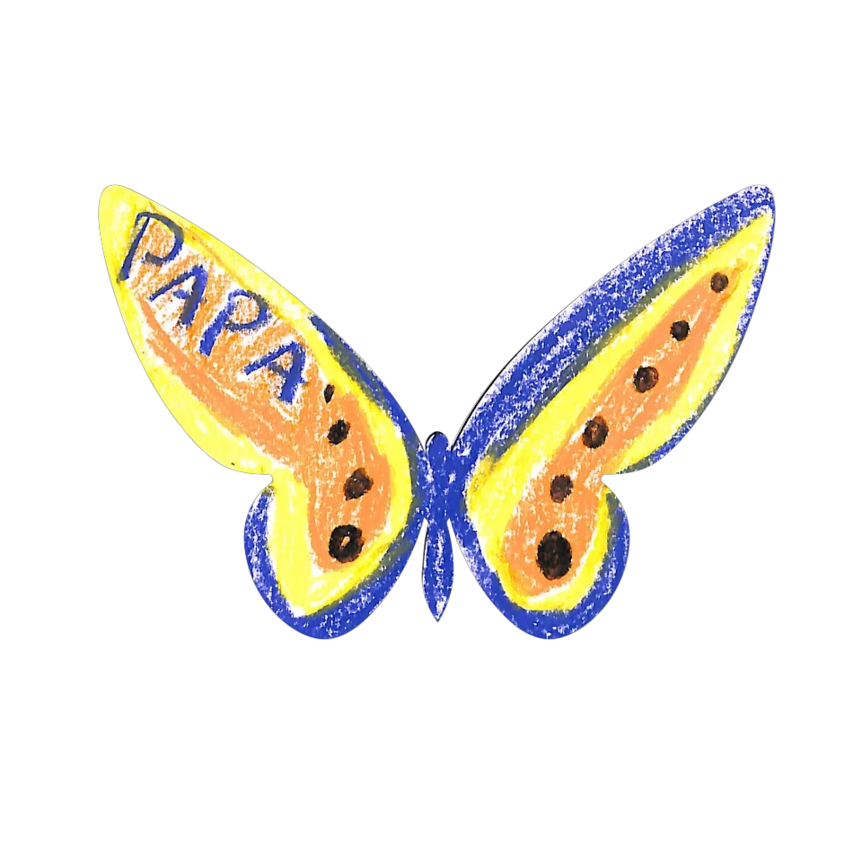 Original Butterfly Image