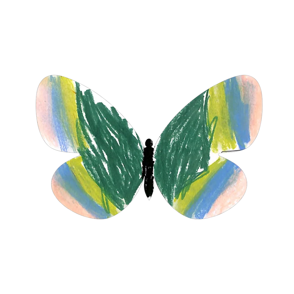 Original Butterfly Image