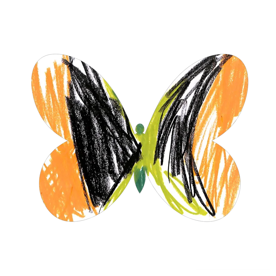 Original Butterfly Image