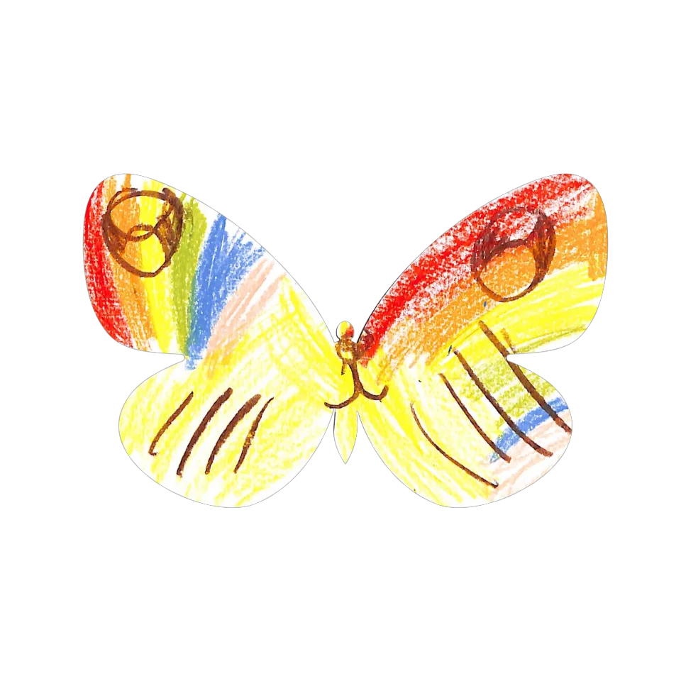 Original Butterfly Image